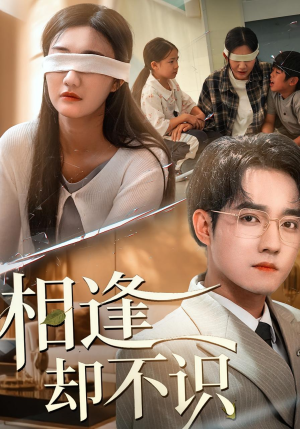 相逢却不识（77集）一口气追完全集