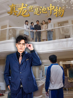 真龙岂是池中物（80集）短剧介绍