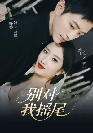 别对我摇尾（59集）短剧全集完整