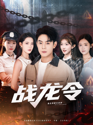 战龙令（76集）在线看完整版