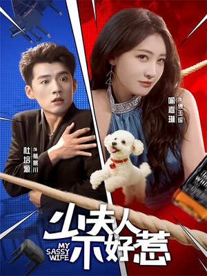 少夫人不好惹（61集）经典老剧免费看