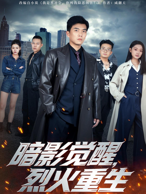 暗影觉醒，烈火重生（80集）百度网盘资源