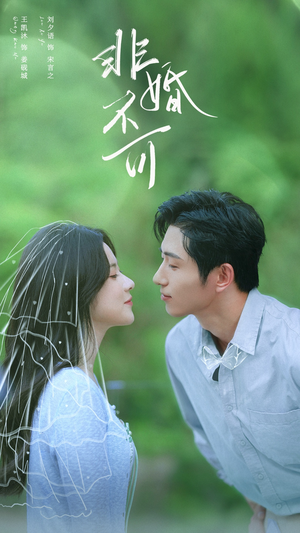 非婚不可（65集）海量资源免费看