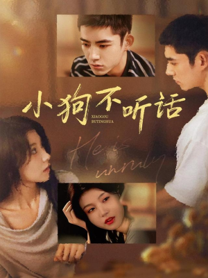 小狗不听话（70集）无需会员轻松看