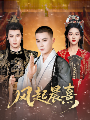 风起晨熹（63集）短剧解说热门