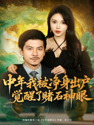 中年我被净身出户，觉醒了赌石神眼（80集）短视频追剧推荐