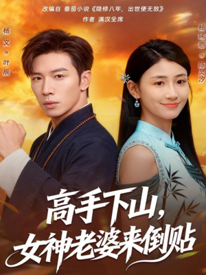 高手下山，女神老婆来倒贴（80集）女频短剧推荐