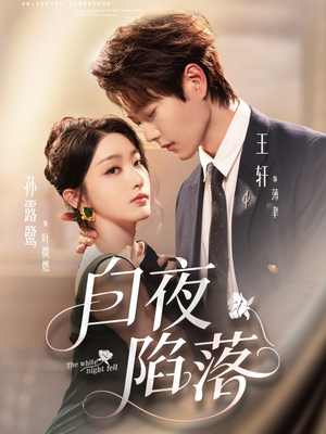 白夜陷落（81集）全集我都看完了
