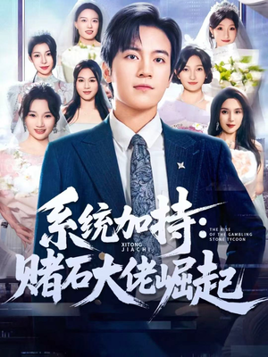 统加持：赌石大佬崛起（77集）在线免费观看