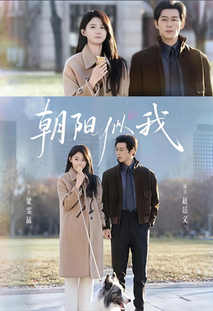 朝阳似我（81集）一口气追完全集