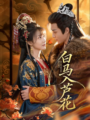 白马入芦花（59集）网上可以看吗