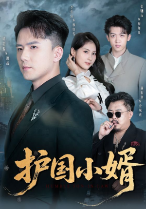 护国小婿（60集）热门火爆短剧