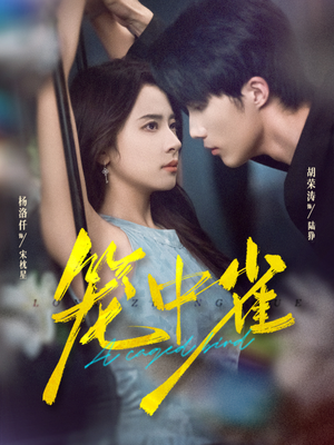 笼中雀（65集）夸克在线观看