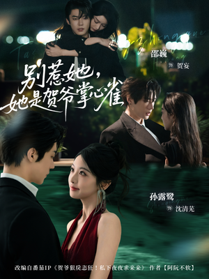 别惹她，她是贺爷掌心雀（69集）精彩短剧热播中