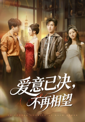 爱意已决不再相望（70集）短剧有好货推荐