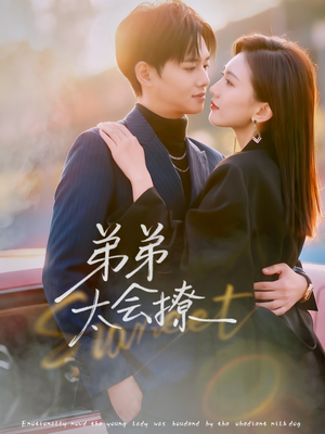 弟弟太会撩（81集）热门短剧推荐