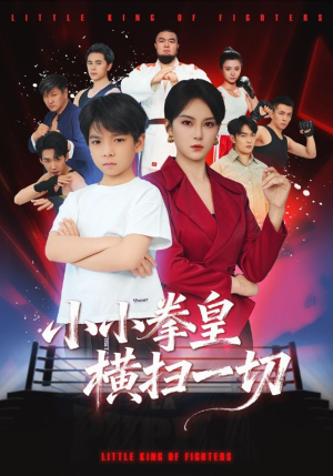 小小拳皇横扫一切（60集）网络小短剧