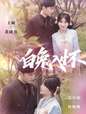 白兔入怀（60集）火爆热门短剧