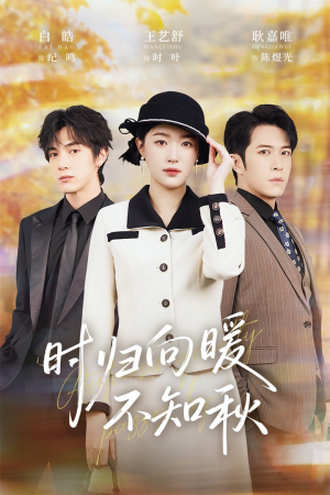 时归向暖不知秋（51集）每日短剧追不停