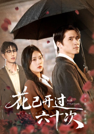 情敌交手她选择躺赢（72集）精彩短剧分享