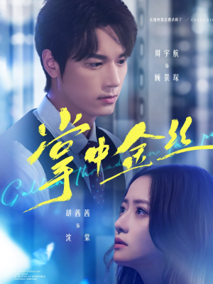 长姐她竟是隐藏大佬（60集）口碑之选免费看