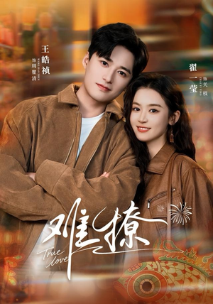 难撩（100集）一起追短剧吧