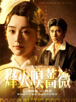 烽火嗅蔷薇（63集）常回家看看短剧