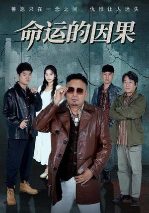 命运的因果（60集）上热门短剧