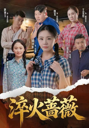 淬火蔷薇（50集）一起追短剧