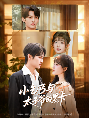 小乞丐与太子爷的黑卡（60集）夸克网盘观看