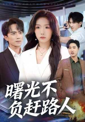曙光不负赶路人（75集）精彩短剧热播
