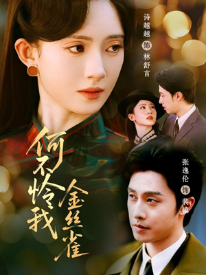 何不怜我金丝雀（60集）完整版免费观看