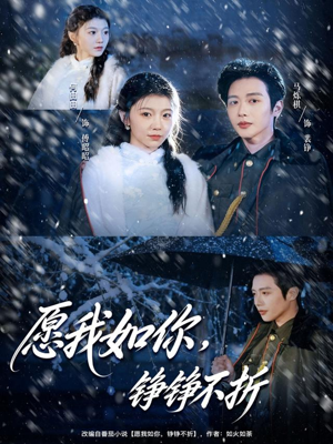 愿我如你，铮铮不折（63集）全集下载