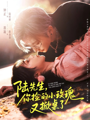 陆先生，你捡的小玫瑰又掀桌了（74集）好看的短剧