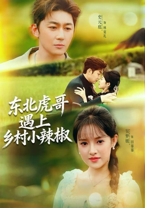 东北虎哥遇上乡村小辣椒（67集）热播短剧排行榜