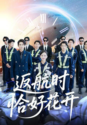 返航时恰好花开（101集）最新热剧免费看