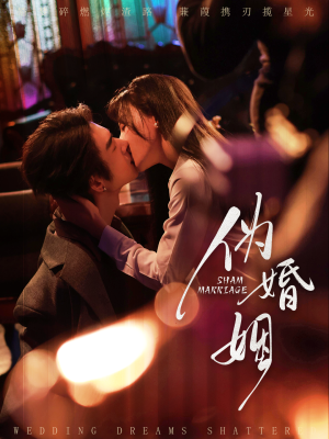 伪婚姻（75集）全集