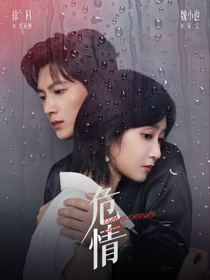 危情（65集）贝贝短剧分享