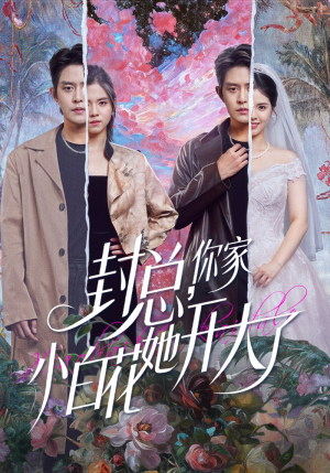 封总，你家小白花她开大了（60集）精彩短剧分享。