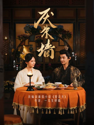 厌朱墙（80集）热播古装短剧