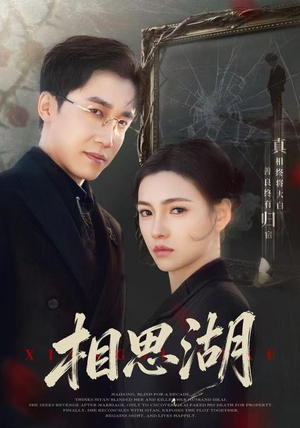 相思湖（66集）大结局一气呵成