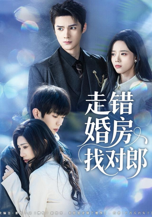 走错婚房找对郎（50集）热门短剧看不停