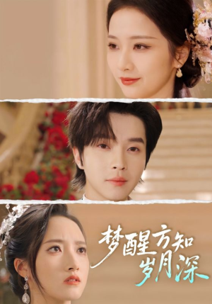 梦醒时你在我身侧（80集）在哪个平台看