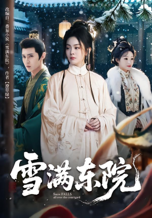 雪满东院（60集）迅雷网盘观看