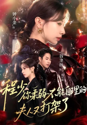 程少你柔弱不能自理的夫人又打架了（60集）悬疑短剧推荐