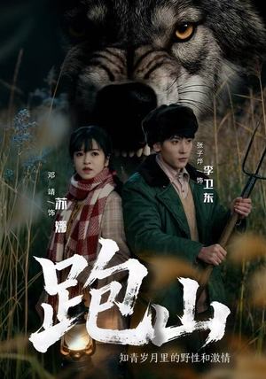 跑山：知青岁月里的野性和激情（83集）热播短剧重燃