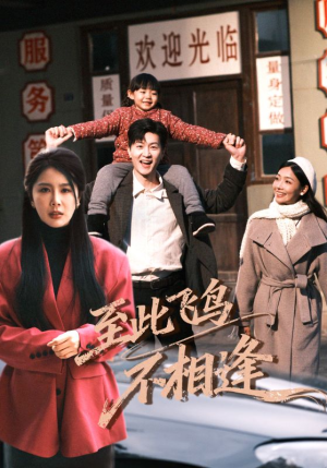 至此飞鸟不相逢（70集）一口气看完