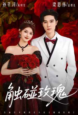 触碰玫瑰（80集）精彩片段