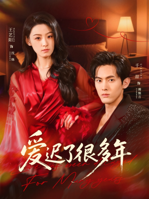 爱迟了很多年（73集）百度网盘在线看