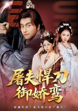 屠夫悍刀御娇鸾（81集）番茄短剧看全集